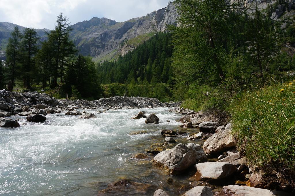 Bnb Valais - By La Sittelle Grimisuat Ngoại thất bức ảnh