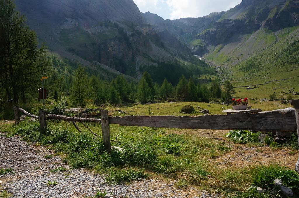 Bnb Valais - By La Sittelle Grimisuat Ngoại thất bức ảnh