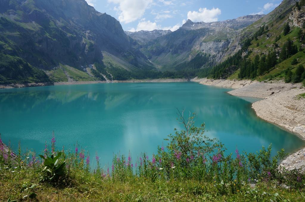 Bnb Valais - By La Sittelle Grimisuat Ngoại thất bức ảnh